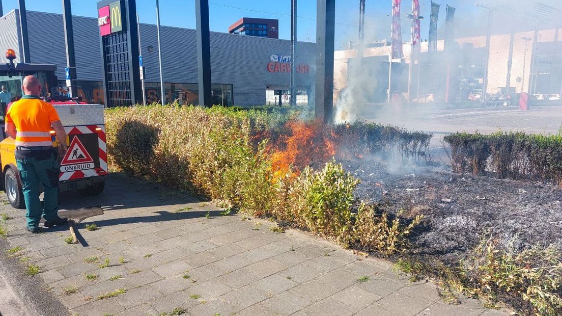 Niet alleen het onkruid werd afgebrand in Enschede