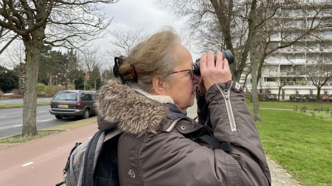 Monique van den Broek van STORK speurt naar ooievaars
