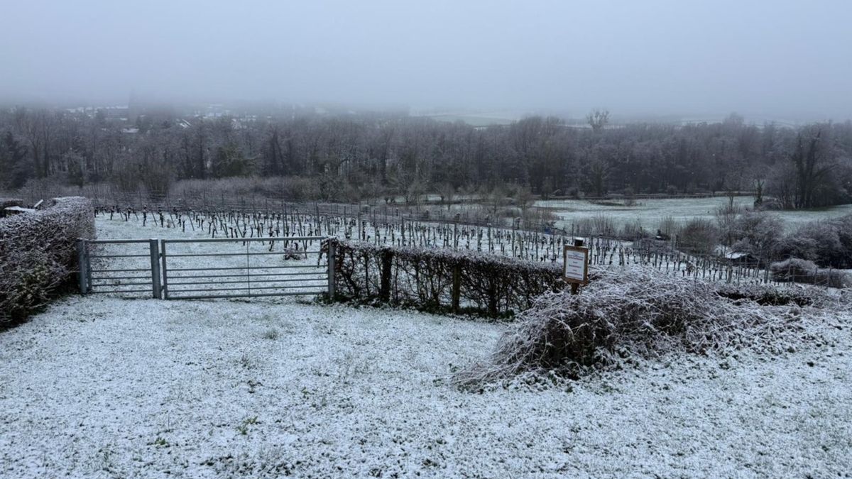 Sneeuw in Zuid-Limburg: bekijk hier de beelden