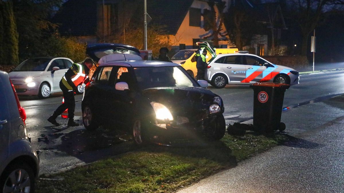 Dieren ontsnapt • botsing in Barneveld
