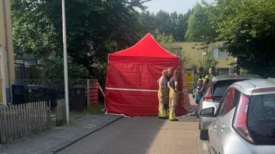 Man overleden op straat in Utrechtse wijk Hoograven Nieuws