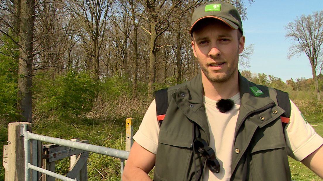 Erik Schram, boswachter in Zeeuws-Vlaanderen