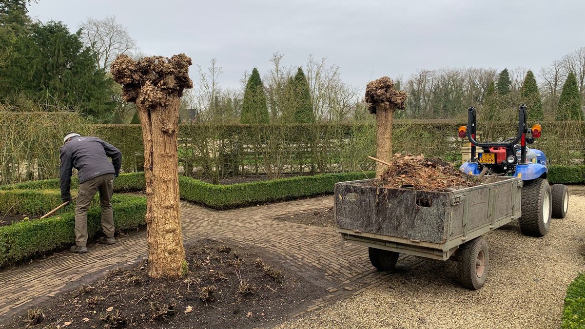 Februari 2024 was mildste ooit gemeten in Limburg
