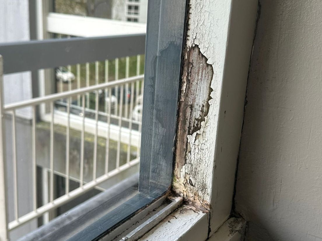 Soestenaren kampen met schimmel in huurhuizen: 'Ik ben niet de enige'