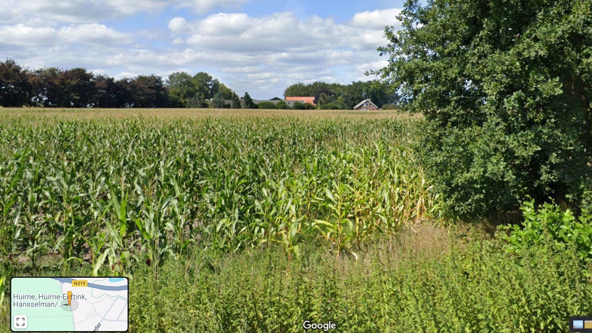 Het gebied van de Oude Papendijk dat wordt aangekocht en bouwklaar wordt gemaakt.