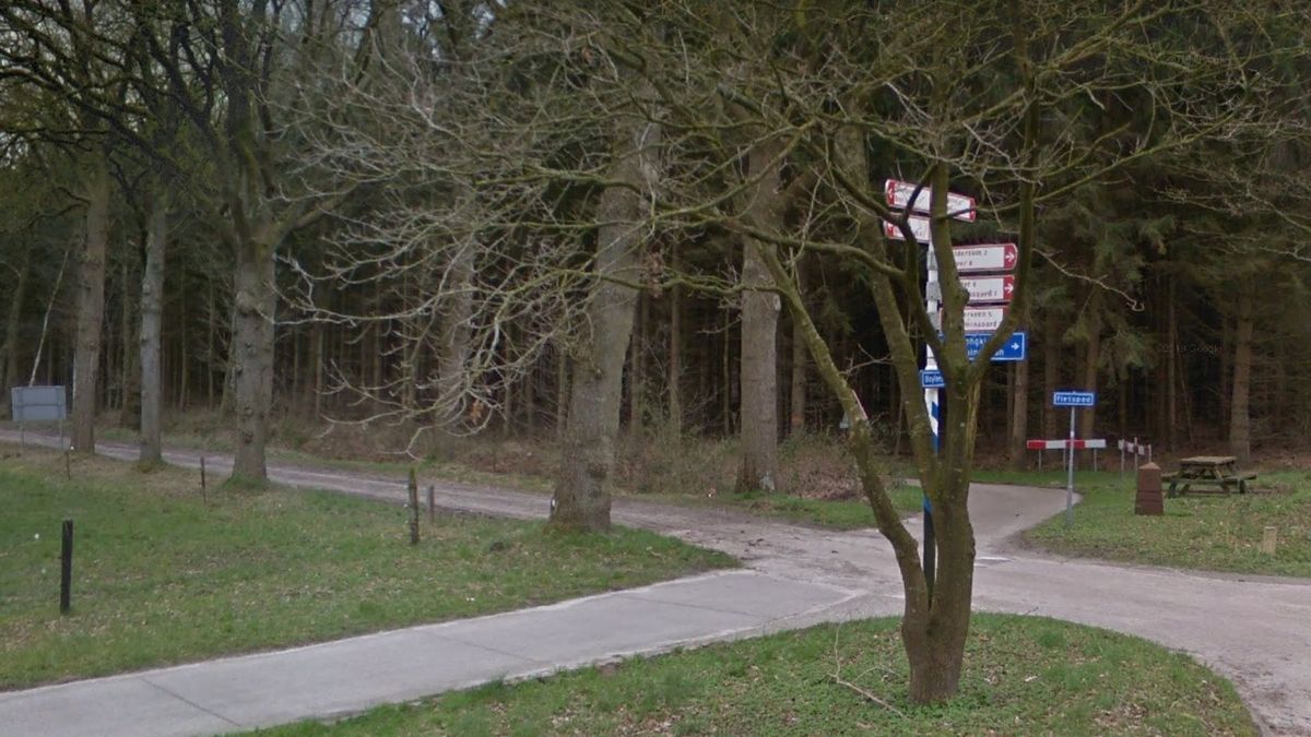 Politie waarschuwt voor gevaarlijke situaties in bos Boschoord