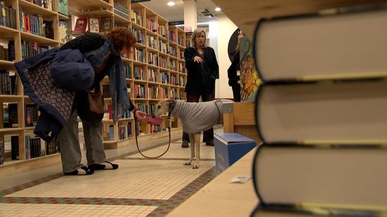 Hondenontbijt in boekhandel ten bate van hazewindhonden in Spanje