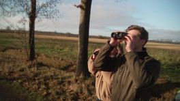 Zeearenden grijpen gans uit de lucht