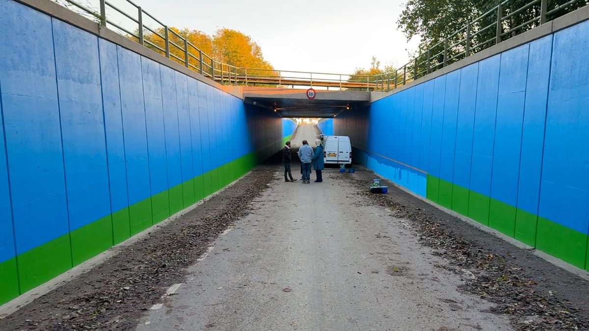 Geen skyline, maar een 'himelline': donkere tunnel bij Schalsum wordt verfraaid