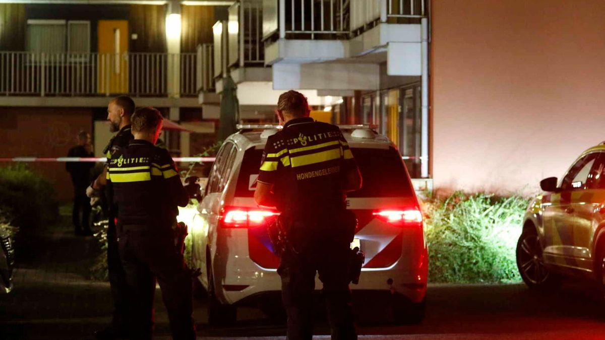 Cel en tbs geëist voor steekpartij in Emmer wijk Bargeres