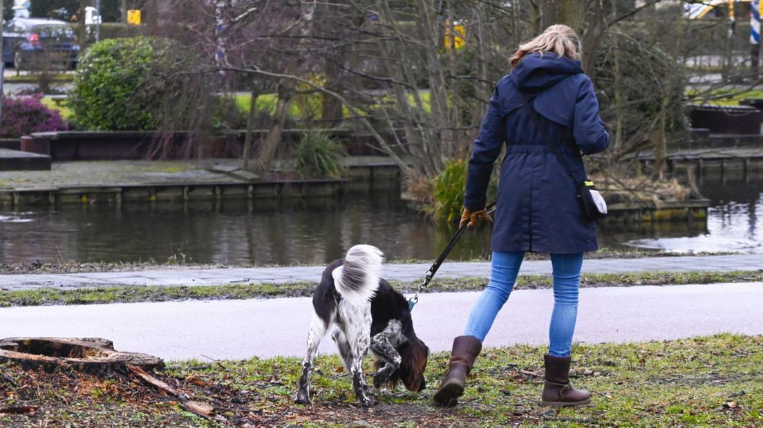 De hondenbelasting wordt afgeschaft in Den Haag