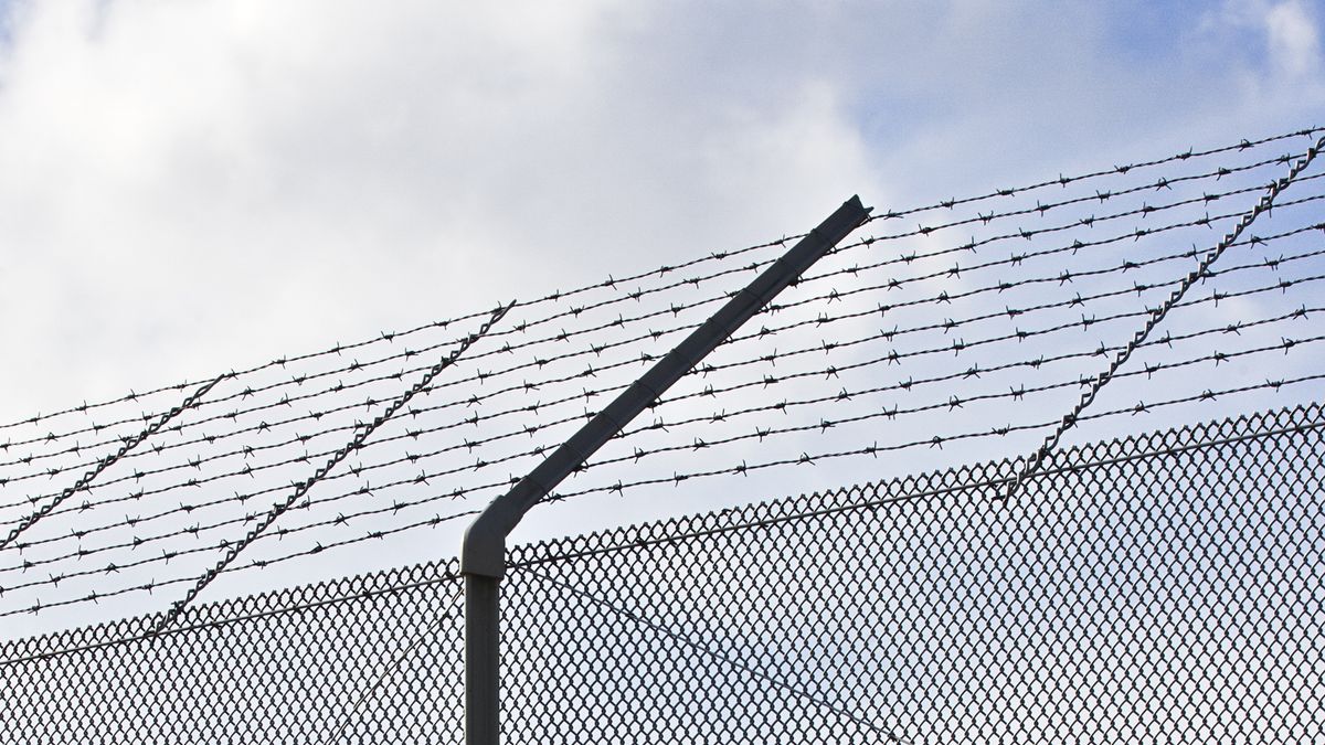 Oud-agent uit Dedemsvaart opgepakt in Letland na veroordeling voor ontvoering peuter