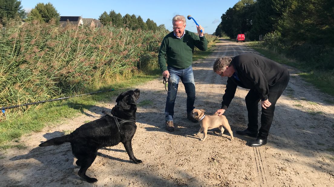 Hondenbezitters Otto en Zwikker vrezen het ergste nu het zandpad bij Marsdijk wordt opgeofferd (Rechten: RTV Drenthe / Margriet Benak)