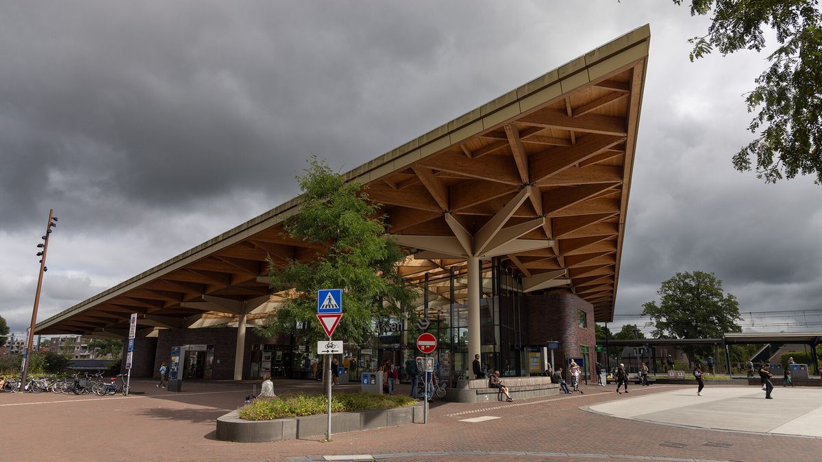 OM eist twaalf jaar cel tegen man die 'als een beest' tekeerging bij station Assen