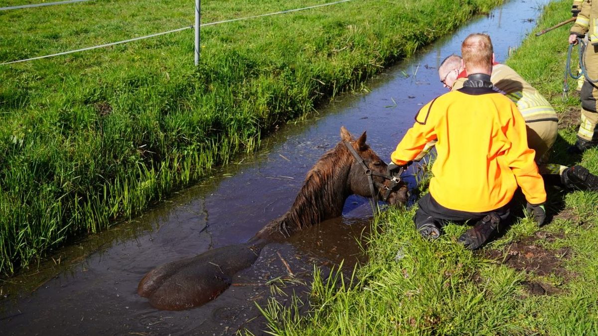 112 Nieuws: Fietser gewond bij valpartij in Zwolle | Man in Dedemsvaart beroofd