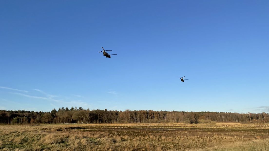 Chinooks vliegen laag over het Dwingelderveld