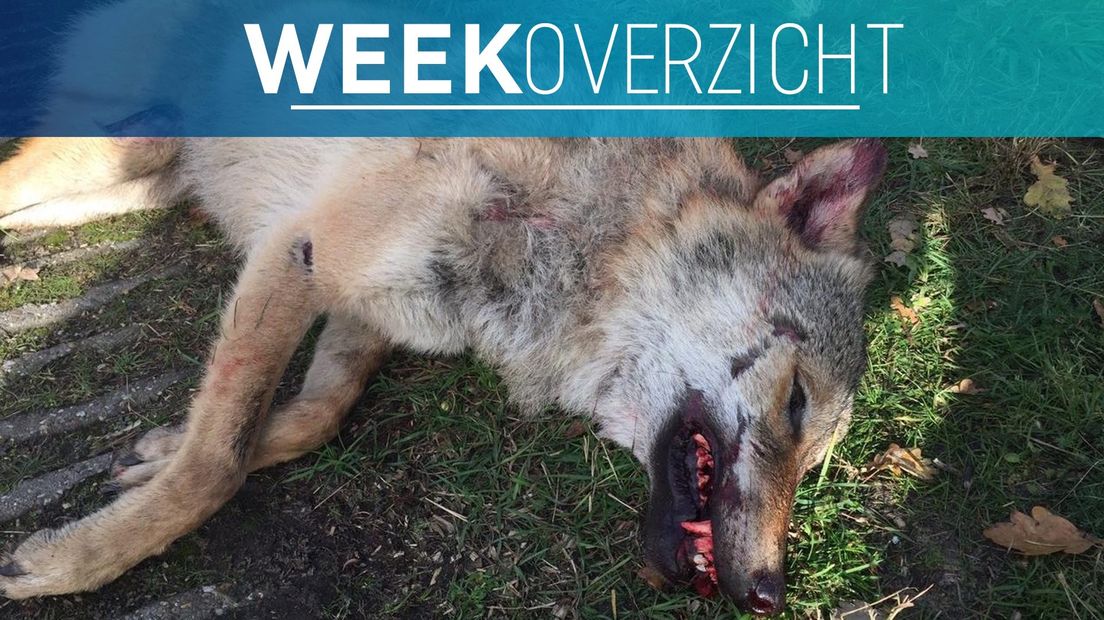Weekoverzicht