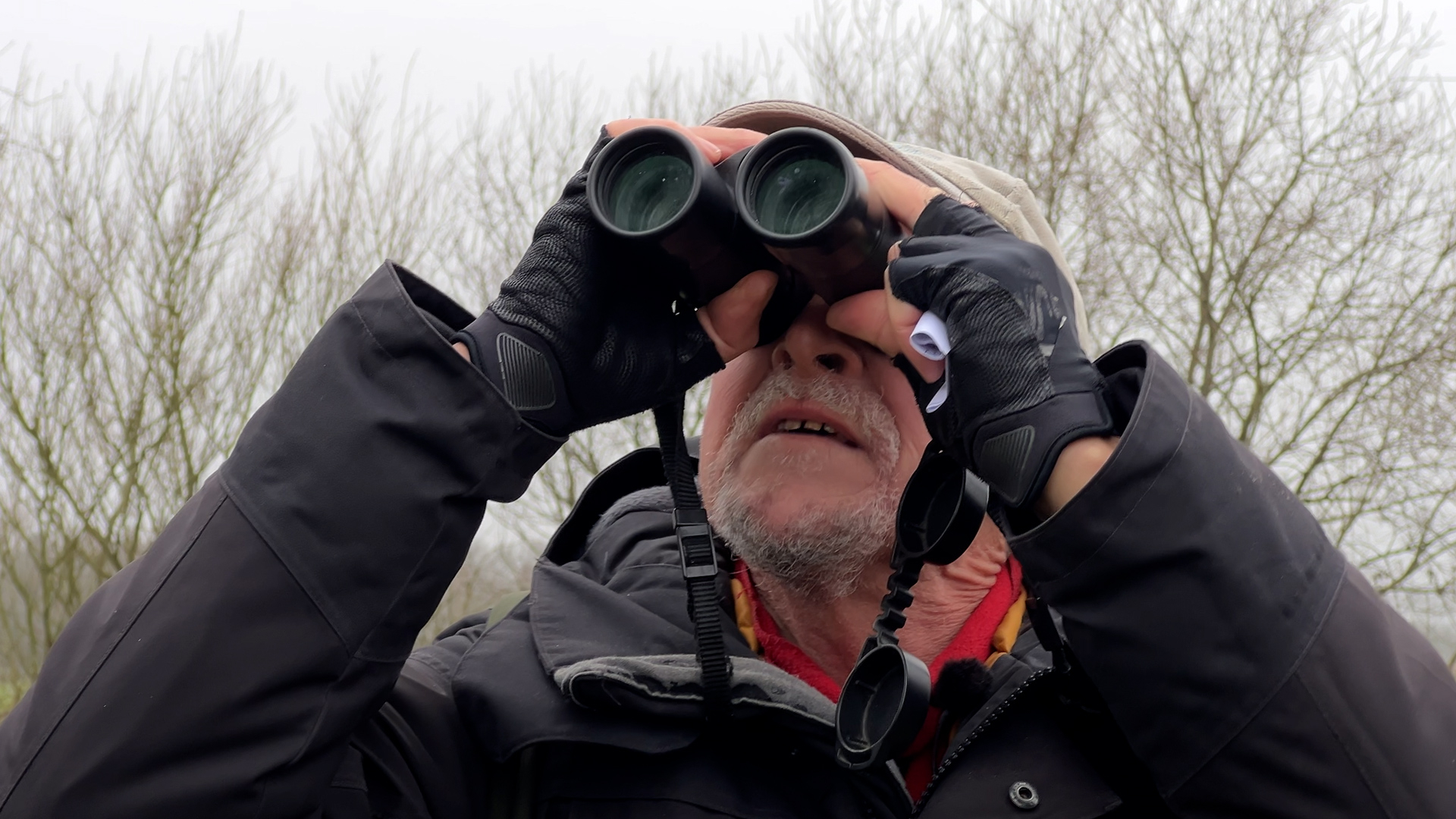 Deze paradijsvogel is na 40 jaar nog lang niet uitgeteld