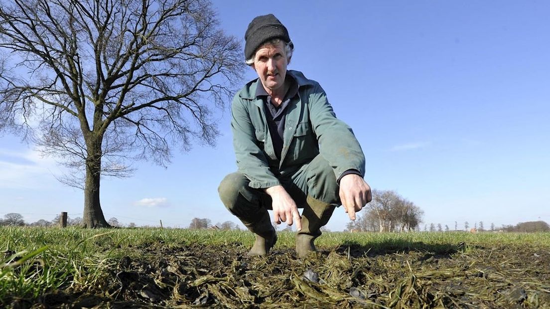 Boer Harry Schuttenbeld in zijn natte weiland