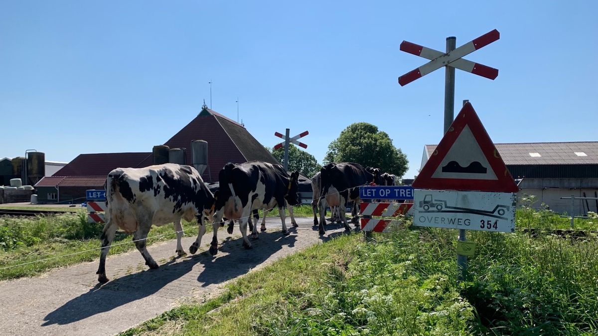 Zorgen om onbeveiligde spoorovergang Hindeloopen: 