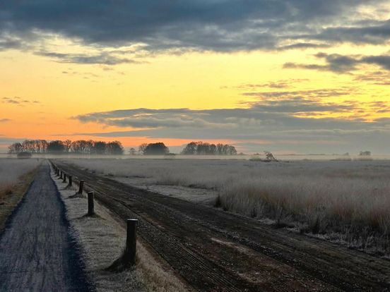 Op pad in de Drentse natuur