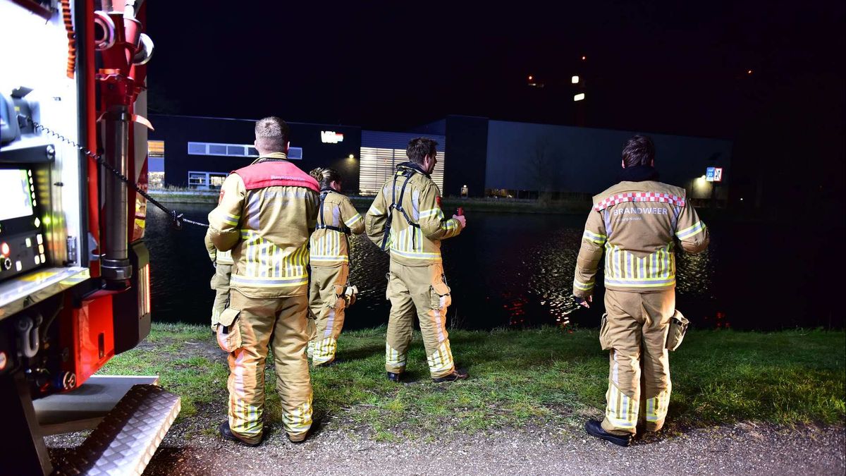 Brandweer kan ree niet redden uit kanaal Nederweert