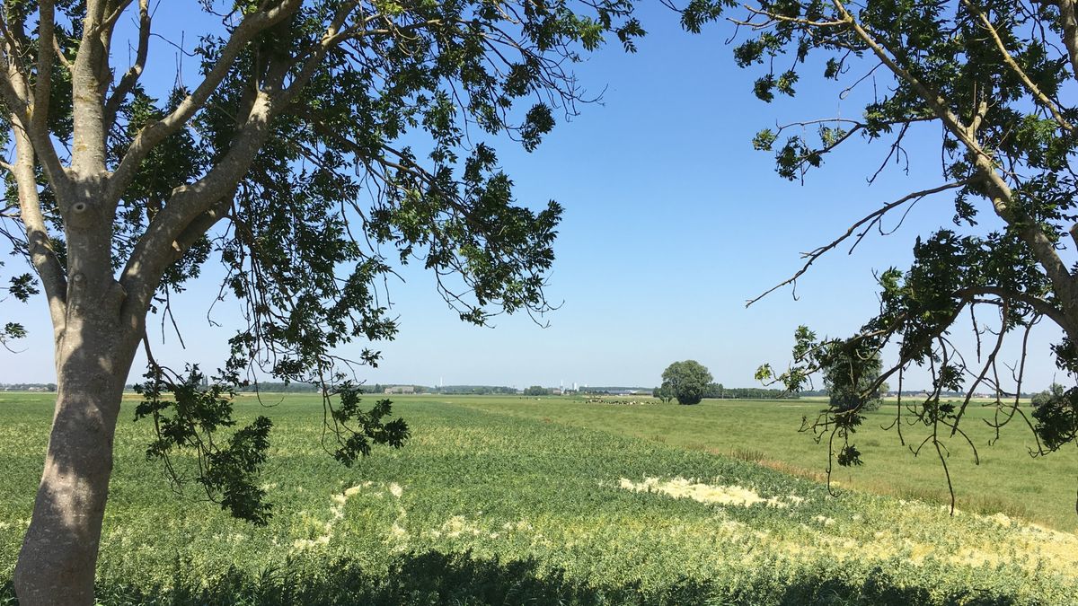 Bezwaarmakers tegen 'zonnepark' Goudswaard hebben geen succes