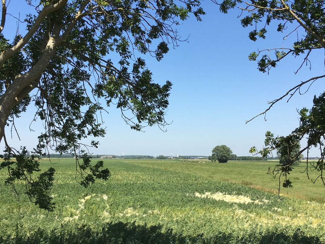 De locatie waar de zonnegaarde moet gaan komen