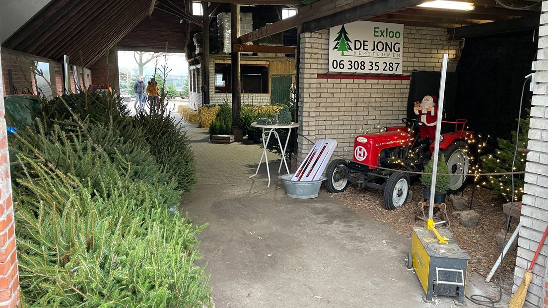 In Exloo kleden ze de schuur extra gezellig aan voor de kerstbomenverkoop