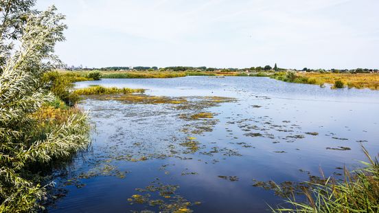 Water uit ondergelopen polder moet worden ingezet Home