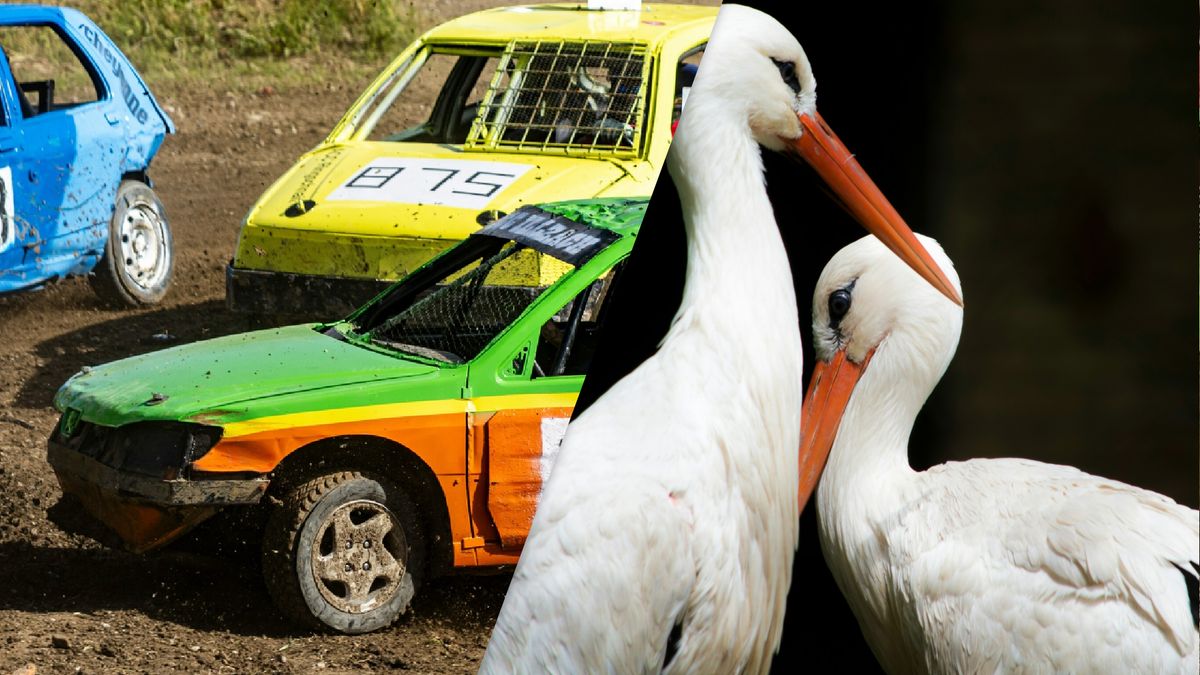 Eropuit dit paasweekend? Dit is er te doen in Fryslân