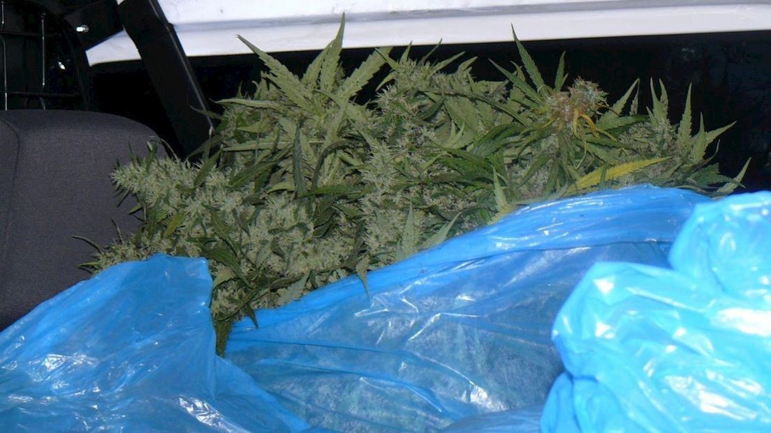 De politie heeft een hennepkwekerij met 400 planten ontmanteld