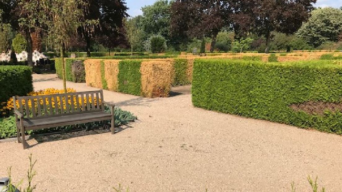 Veel begraafplaatsen hebben behoorlijk schade geleden van de droogte. Met name in de Achterhoek en de Liemers is een aantal begraafplaatsen waar het groen behoorlijk is aangetast.