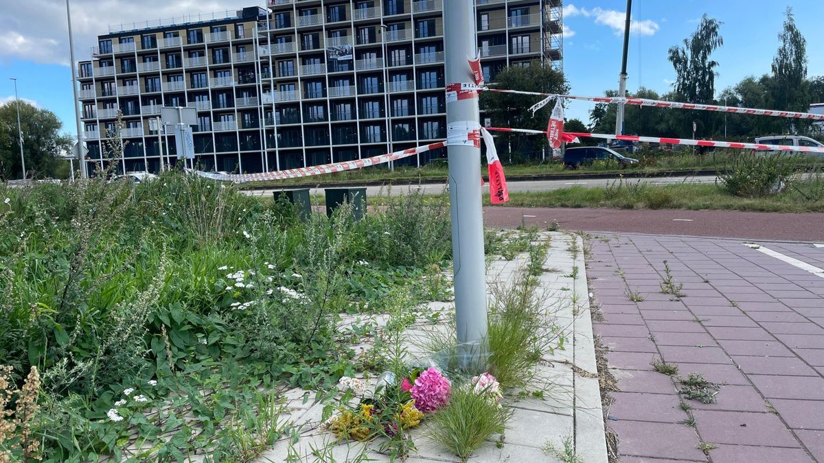 'De misdaad is de moord, niet dat Lisa daar fietste'