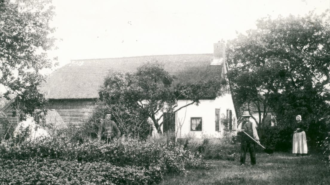 Een koloniepaar aan het werk (Rechten: Koloniehof)