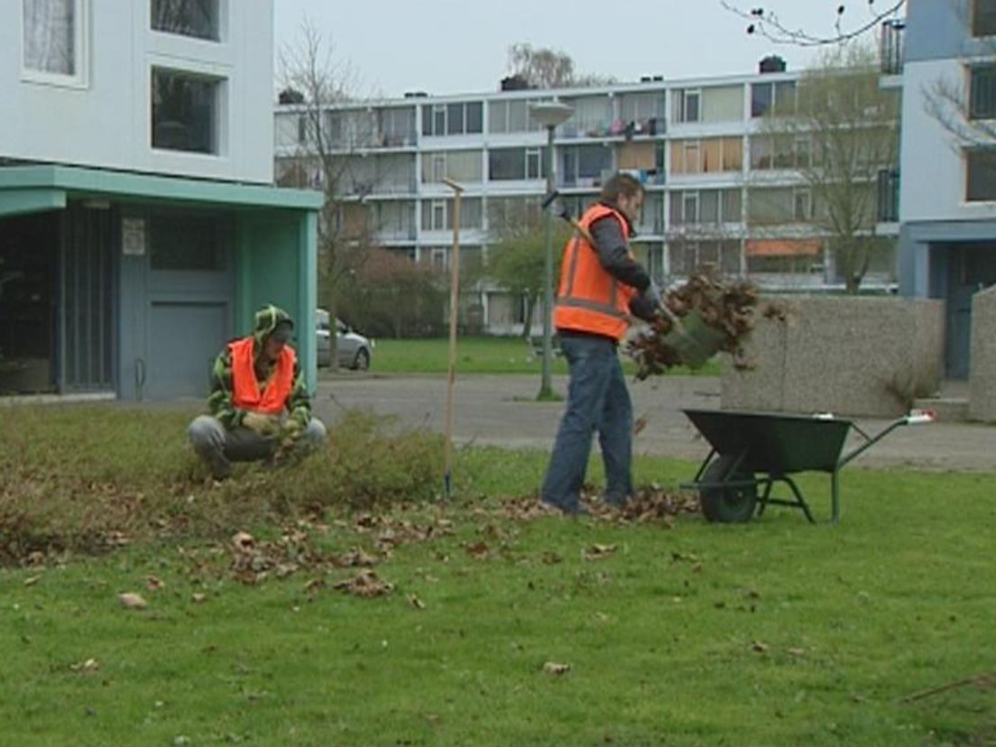 Sommige Rotterdamse nieuwkomers in de bijstand worden verplicht tot werken in de buitenruimte