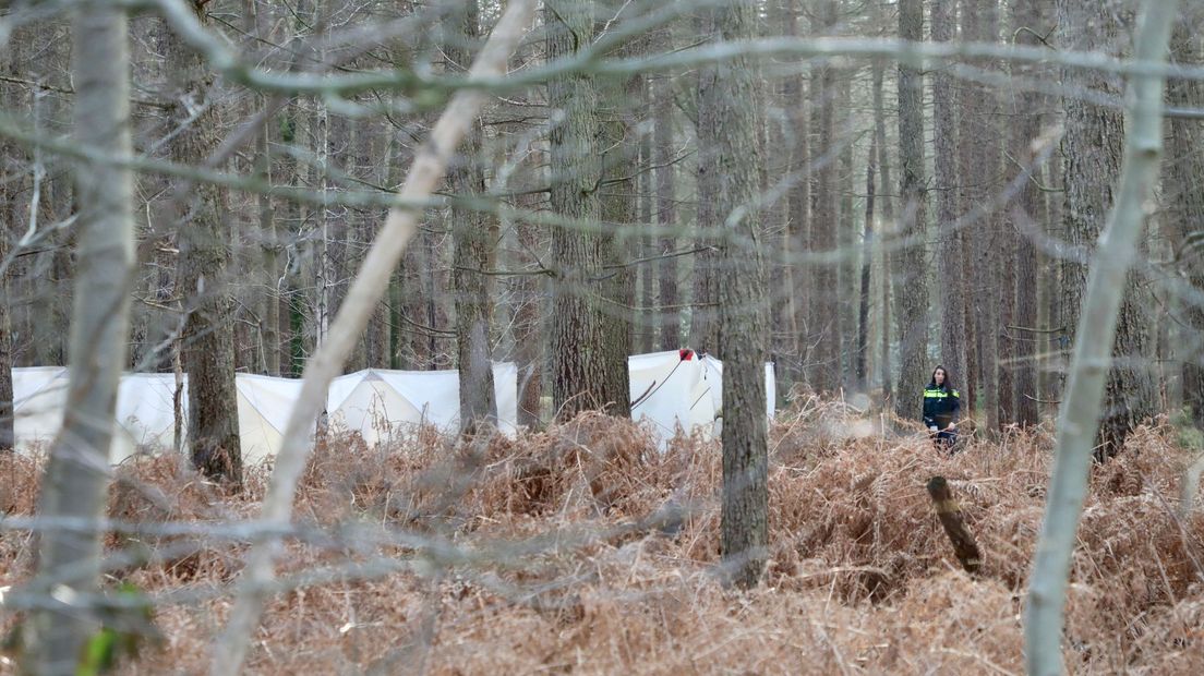 Lichaam gevonden in bos bij Denekamp