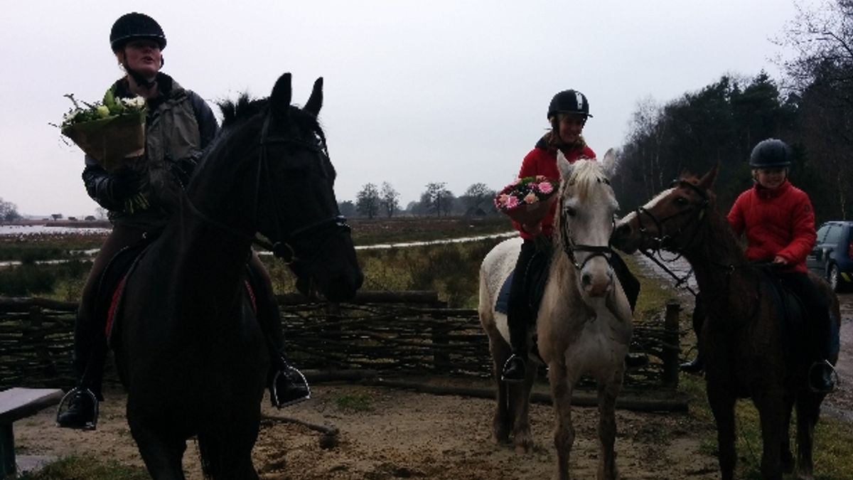 Monique Hamer is 30 miljoenste bezoeker Dwingelderveld: 'Fantastisch, ik geniet enorm'