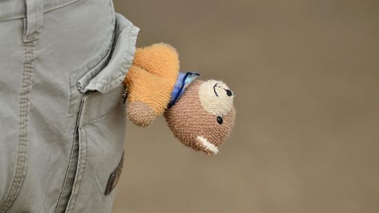 Hoger beroep in zaak waar ouders kinderen mishandelden