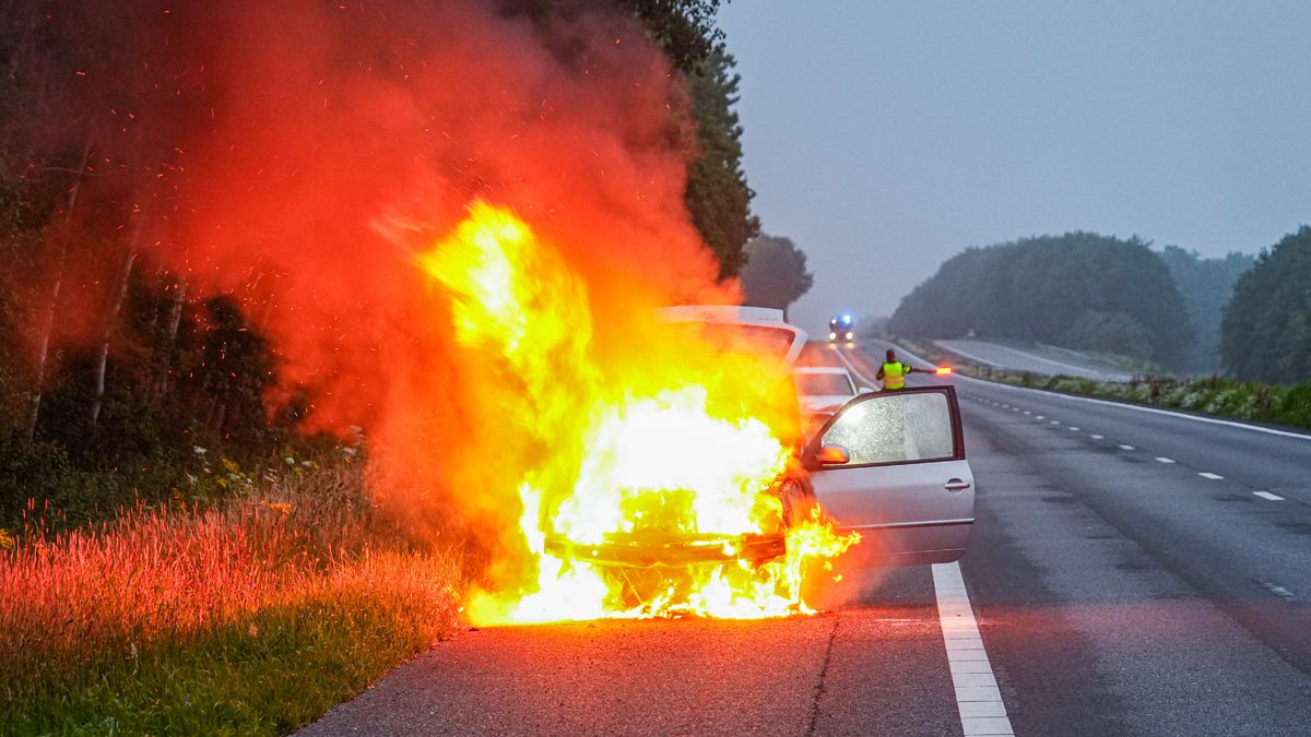 Auto vliegt in brand op A28 na botsing met ree