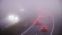 Waarschuwing voor dichte mist: zo ga je veilig de weg op
