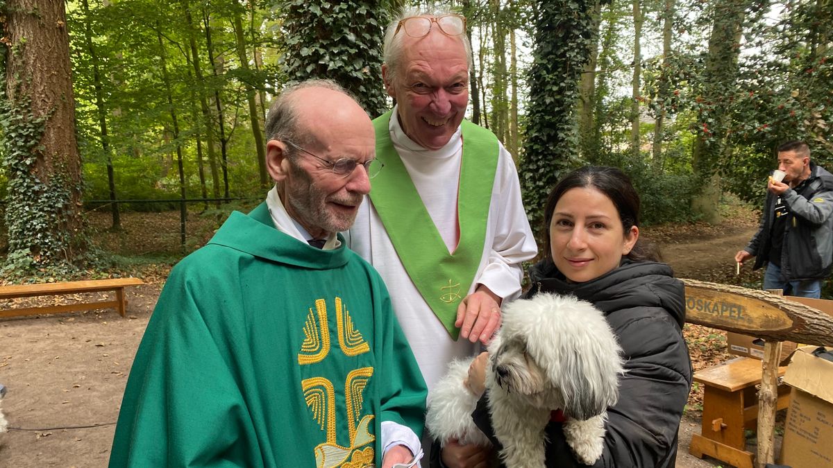 Pastoor zegent honden, duiven en schapen tijdens dierendag Schalkhaar: 'Prachtig'