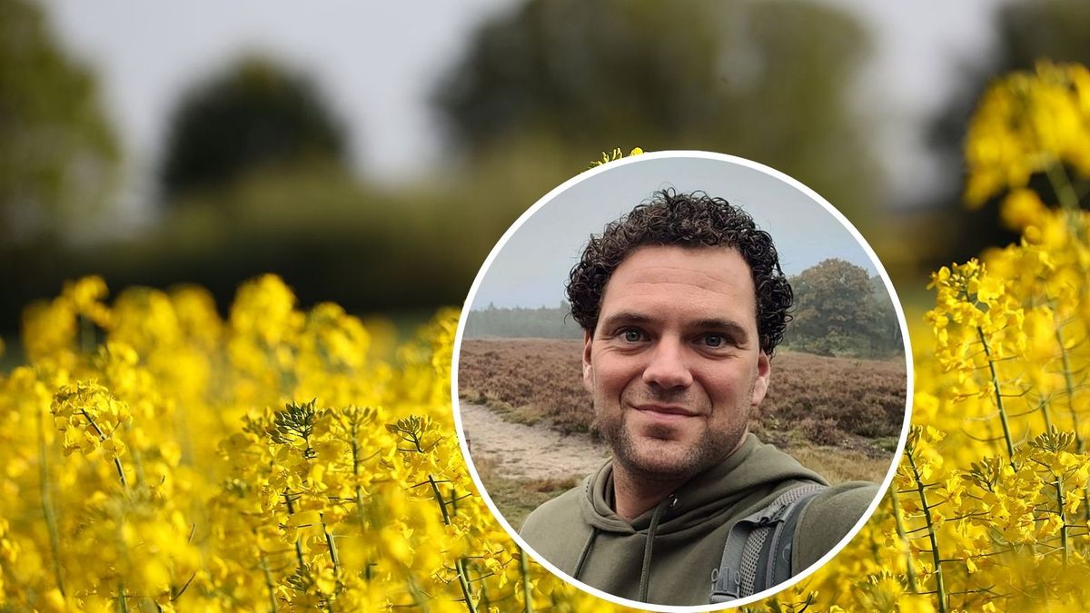 Gele velden zorgen voor een lentegevoel, maar de biodiversiteit is er minder blij mee