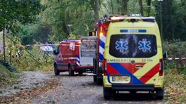Man (59) overleden door omgevallen boom in Venray