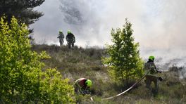 Brand Nationaal Park Maasduinen 'grotendeels' onder controle