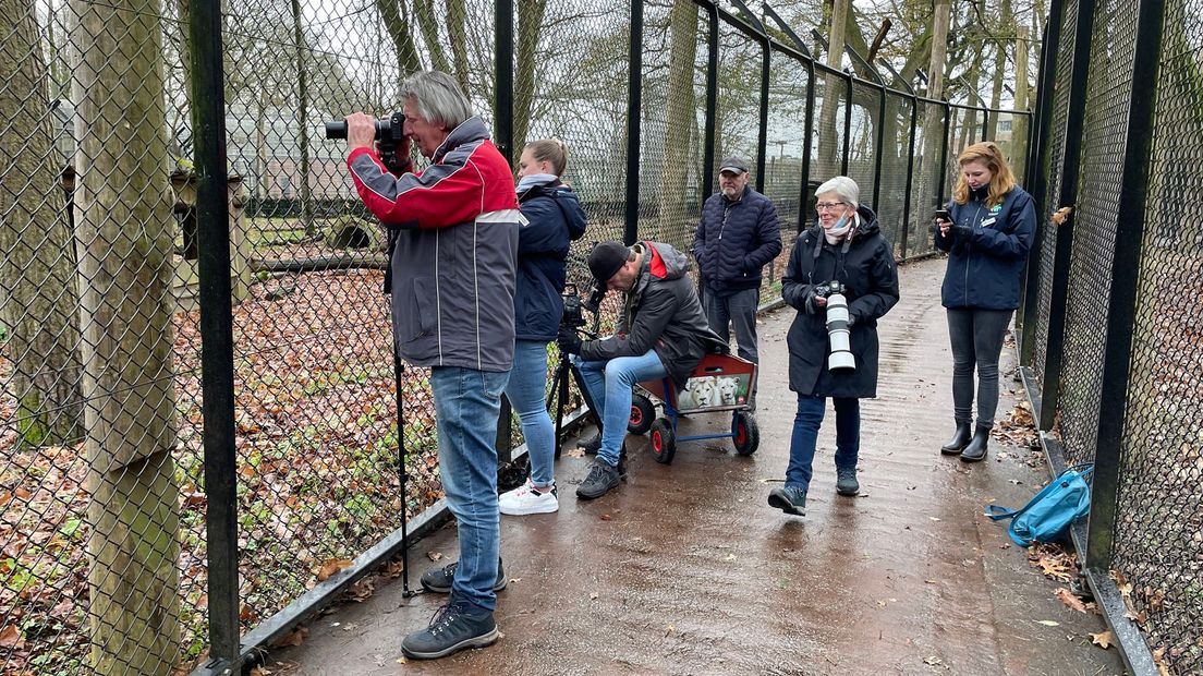 Het is dringen bij het hek voor mooie beren-plaatjes