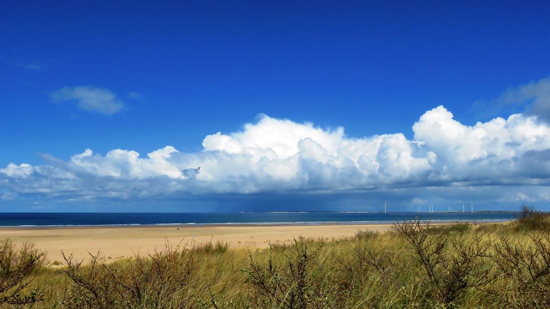 Strand bij Veerse Gatdam