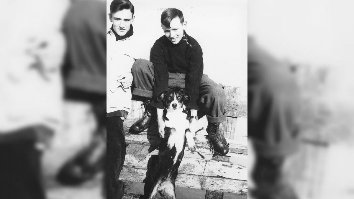 Heldenhond die tientallen dieren redde bij Watersnoodramp krijgt standbeeld