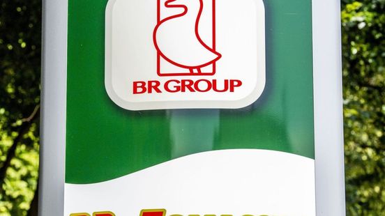 Weer uitstel rechtszaak: eendenslachterij kan voorlopig door