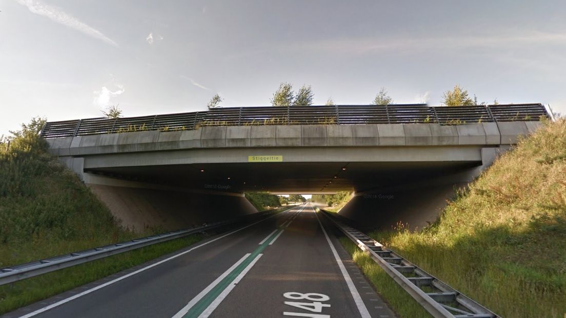 Ecoduct Stiggeltie over de N48 (Rechten: Google Streetview)